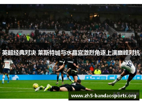 英超经典对决 莱斯特城与水晶宫激烈角逐上演巅峰对抗 英超经典对决 莱斯特城与水晶宫激烈角逐上演巅峰对抗